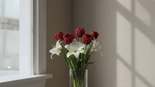 Red Tulips Meaning: Love, Remembrance, and When to Use Them in Memorial Flowers