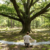 Ringing Ashes Around a Tree: A Low-Impact Scattering Method for Living Memorials - Funeral.com, Inc.
