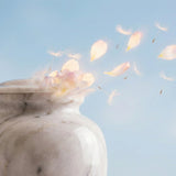 Scattering Ashes vs Keeping an Urn at Home: Emotional, Practical, and Legal Things to Consider - Funeral.com, Inc.
