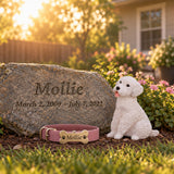 Should You Use Lime When Burying a Pet? What It Does, Risks, and Better Alternatives