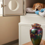 Should You Watch Your Pet’s Cremation? What Families Need to Know - Funeral.com, Inc.