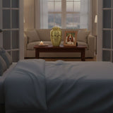 Sleeping After a Pet Dies: Why Nights Are So Hard and How to Cope - Funeral.com, Inc.