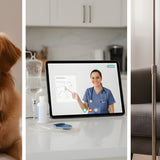 Subcutaneous Fluids at Home: A Vet-Guided Guide to Giving Sub-Q Injections for Cats (and Some Dogs) - Funeral.com, Inc.