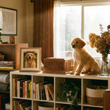 Taxidermy and Preservation: Is It Creepy or Comforting?