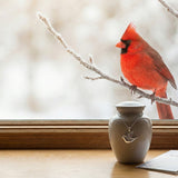 The Cardinal’s Message in Grief: Meaning, Stories, and Sympathy Quotes You Can Share