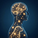 The Neurology of Attachment: Why Your Brain Panics When Your Pet Is Gone