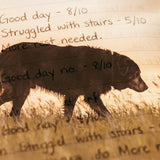 The Quality of Life Scale: An Objective Tool for a Subjective Heartbreak - Funeral.com, Inc.