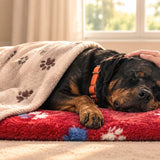 Transporting a Large Dog After Death: Safe Handling, Lifting Tips, and When to Call for Help
