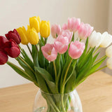 Tulip Color Meanings: What Red, Yellow, Pink & White Tulips Symbolize