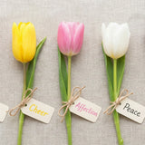 Tulip Color Symbolism: Meaning of Red, Yellow, Pink, White, and Purple Tulips