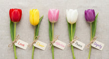 Tulip Color Symbolism: Meaning of Red, Yellow, Pink, White, and Purple Tulips