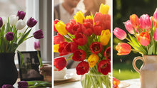 Tulip Meaning & Symbolism: A Guide to Floriography and When Each Color Fits
