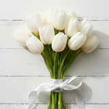 Tulip Symbolism & White Tulip Meaning: What They Represent and When to Give Them - Funeral.com, Inc.