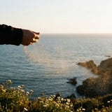 Unique Ash Scattering & Storage Ideas: Creative Alternatives to the Traditional Urn - Funeral.com, Inc.