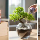 Urn Alternatives: Safe, Respectful Containers and Creative Memorial Ideas (Plus When to Upgrade) - Funeral.com, Inc.