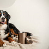 Urn Size for a Bernese Mountain Dog: Cubic Inches Guide (XL Urns) - Funeral.com, Inc.