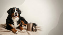 Urn Size for a Bernese Mountain Dog: Cubic Inches Guide (XL Urns) - Funeral.com, Inc.