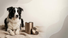 Urn Size for a Border Collie: Weight Chart + Cubic Inches Guide - Funeral.com, Inc.