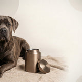 Urn Size for a Cane Corso: Cubic Inches Guide (XL Pet Urns) - Funeral.com, Inc.