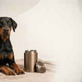 Urn Size for a Doberman Pinscher: Cubic Inches Guide + Large vs XL - Funeral.com, Inc.
