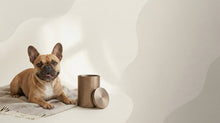 Urn Size for a French Bulldog (Frenchie): Cubic Inches Guide + Best Fit - Funeral.com, Inc.