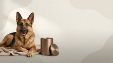 Urn Size for a German Shepherd Dog: Cubic Inches Guide + Best Fit - Funeral.com, Inc.