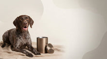 Urn Size for a German Shorthaired Pointer: Cubic Inches Guide + Best Fit - Funeral.com, Inc.