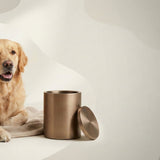 Urn Size for a Golden Retriever: Cubic Inches Guide + Best Fit - Funeral.com, Inc.