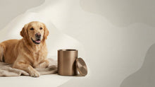 Urn Size for a Golden Retriever: Cubic Inches Guide + Best Fit - Funeral.com, Inc.