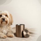 Urn Size for a Havanese: Cubic Inches Guide + Best Fit - Funeral.com, Inc.