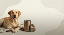 Urn Size for a Labrador Retriever: Cubic Inches Guide + Best Fit - Funeral.com, Inc.