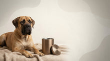 Urn Size for a Mastiff: Cubic Inches Guide + XL Urn Recommendations - Funeral.com, Inc.