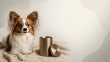Urn Size for a Papillon: Cubic Inches Guide + Small Urn Recommendations - Funeral.com, Inc.