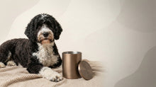 Urn Size for a Portuguese Water Dog: Cubic Inches Guide (Medium vs Large) - Funeral.com, Inc.