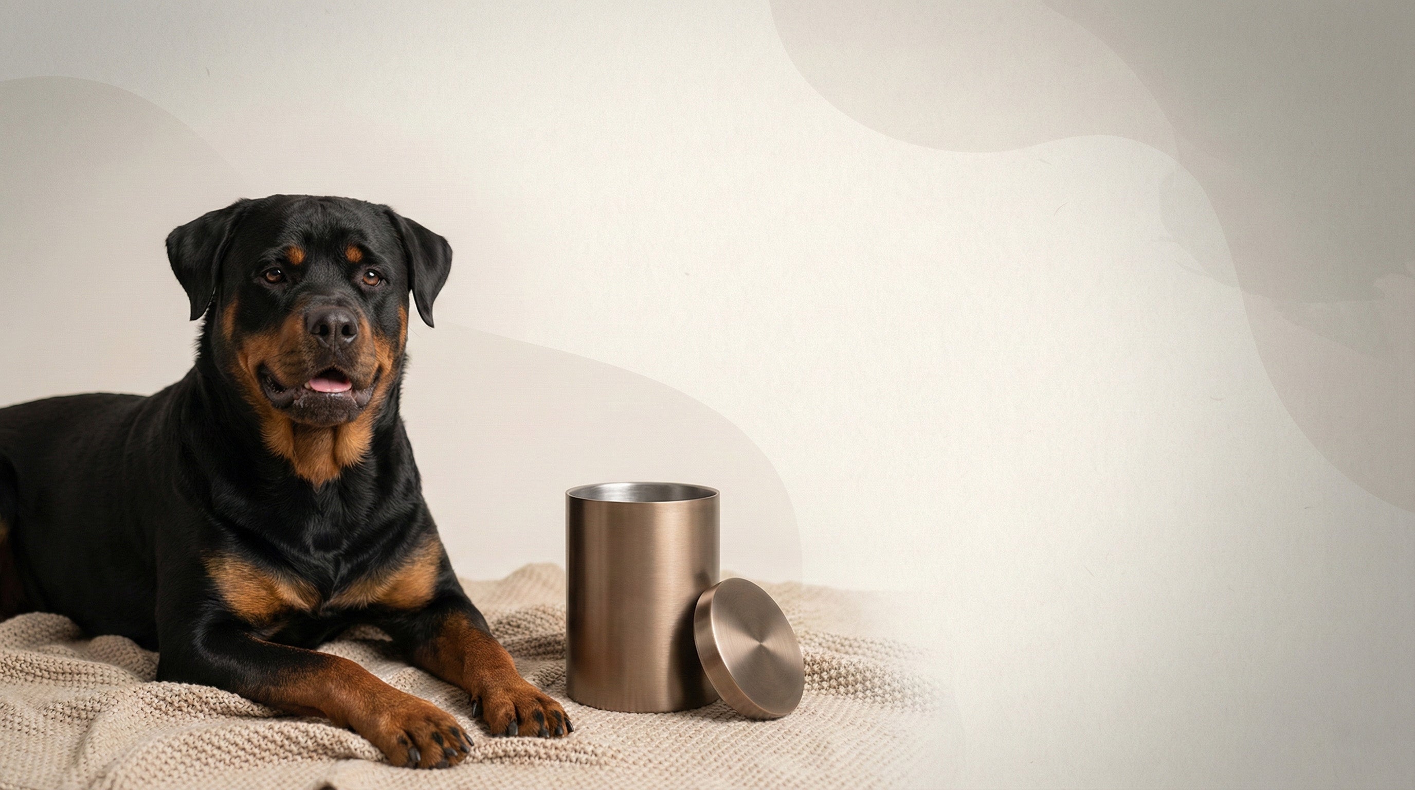 Urn Size for a Rottweiler: Cubic Inches Guide + Best Fit | Funeral.com ...