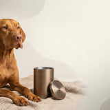 Urn Size for a Vizsla: Cubic Inches Guide (Medium vs Large) - Funeral.com, Inc.