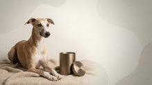 Urn Size for a Whippet: Cubic Inches Guide (Medium Urn Recommendations) - Funeral.com, Inc.