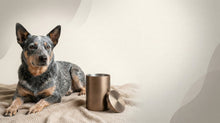 Urn Size for an Australian Cattle Dog: Cubic Inches Guide (Medium vs Large) - Funeral.com, Inc.