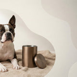 Urn Size for a Boston Terrier: Cubic Inches Guide (Small vs Medium)