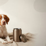 Urn Size for a Brittany: Weight Chart + Cubic Inches Guide