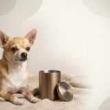 Urn Size for a Chihuahua: Cubic Inches Guide + Best Fit
