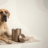 Urn Size for a Great Dane: Cubic Inches Guide (XL Dog Urns)