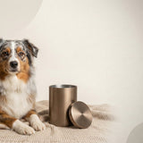 Urn Size for a Miniature American Shepherd: Cubic Inches Guide + Best Fit