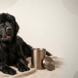 Urn Size for a Newfoundland: Cubic Inches Guide + XL Urn Recommendations