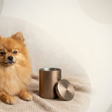 Urn Size for a Pomeranian: Cubic Inches Guide + Best Fit