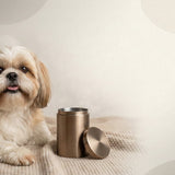 Urn Size for a Shih Tzu: Cubic Inches Guide + Best Fit
