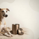 Urn Size for a Whippet: Cubic Inches Guide (Medium Urn Recommendations)
