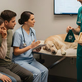 Veterinary Clinics and End of Life: What to Expect, What to Ask, and How to Plan a Meaningful Goodbye - Funeral.com, Inc.