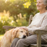 Wanting to Rest with Your Pet Someday: How to Talk with Family and Plan Ahead - Funeral.com, Inc.