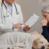 What Actually Happens During Pet Cremation?